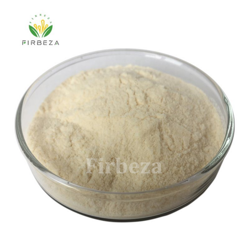 Chitosan Lactate - Manufacturer - CAS 148411-57-8 Food Grade Water Soluble Powder