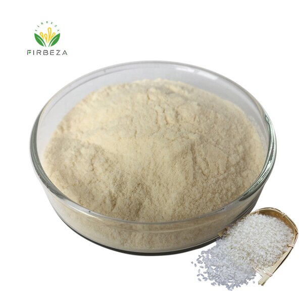 Rice Protein Powder - Manufacturer - 80% Bulk Pure Natural Oryza Sativa Rice Extract