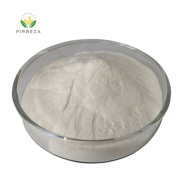 Snail Slime Extract - Manufacturer - 100% Pure Organic Snail Mucus Animal Protein Powder