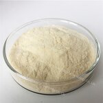 Rice Protein Powder - Manufacturer - 80% Bulk Pure Natural Oryza Sativa Rice Extract