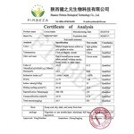 Cacao Butter - Manufacturer - Wholesale Bulk Food Grade Pure Natural Organic Unrefined