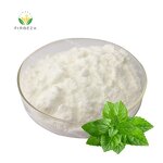 Peppermint Extract - Manufacturer - Best Price High Quality Pure Organic Mint Leaf Powder