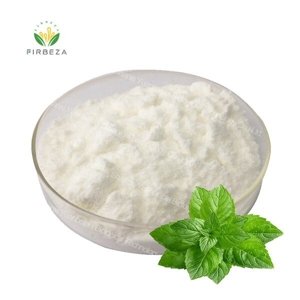 Peppermint Extract - Manufacturer - Best Price High Quality Pure Organic Mint Leaf Powder