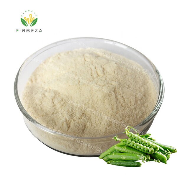 Pea Protein Powder - Manufacturer - Wholesale High Protein Bulk Organic 80% Isolate