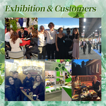 Ginger Extract Powder - Manufacturer - Bulk 20:1 Food Grade Instant Organic Root Juice