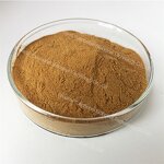 Black Cohosh Extract - Manufacturer - Wholesale Organic Cimicifuga Racemosa Root Extract