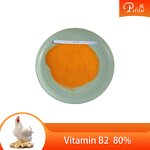 Riboflavin Manufacturer - B2 80% for Feed Additives