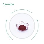 Cochineal Carmine Red Powder Manufacturer - Food & Cosmetic Grade Colorant