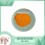Riboflavin Manufacturer - B2 80% for Pig & Poultry Feed