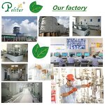 Monosodium Phosphate Manufacturer - Food Grade MSP 98% Powder