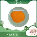 Riboflavin Manufacturer - B2 80% for Feed Additives