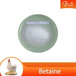 Betaine HCl Manufacturer - 98% Feed Grade for Animals