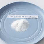 Sodium Bicarbonate Manufacturer - Food Grade Leavening Agent