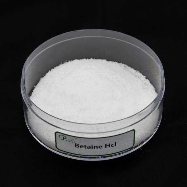 Betaine Anhydrous Manufacturer - 96% for Fish & Poultry