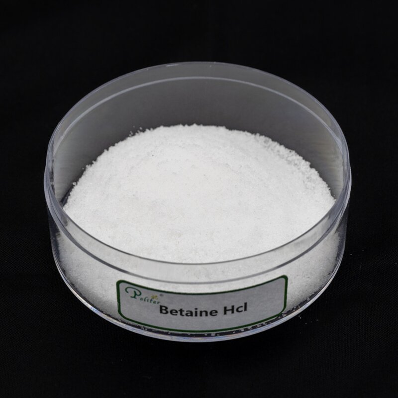 Betaine Anhydrous Manufacturer - 96% for Fish & Poultry