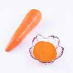 Beta Carotene Powder Manufacturer - 10% Food Grade