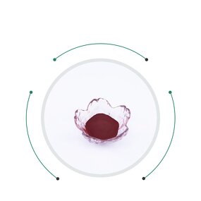 Cochineal Carmine Red Powder Manufacturer - Food & Cosmetic Grade Colorant