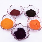 Cantharides Extract Powder Manufacturer - 10-20% for Egg Color