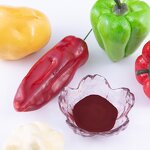 Cochineal Carmine Red Powder Manufacturer - Food & Cosmetic Grade Colorant