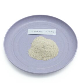 Poultry Feed Premix Manufacturer - 5% for Laying Hen