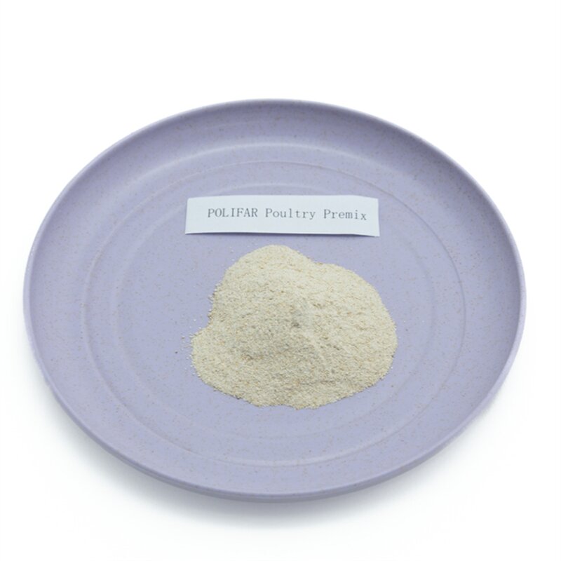 Poultry Feed Premix Manufacturer - 5% for Laying Hen