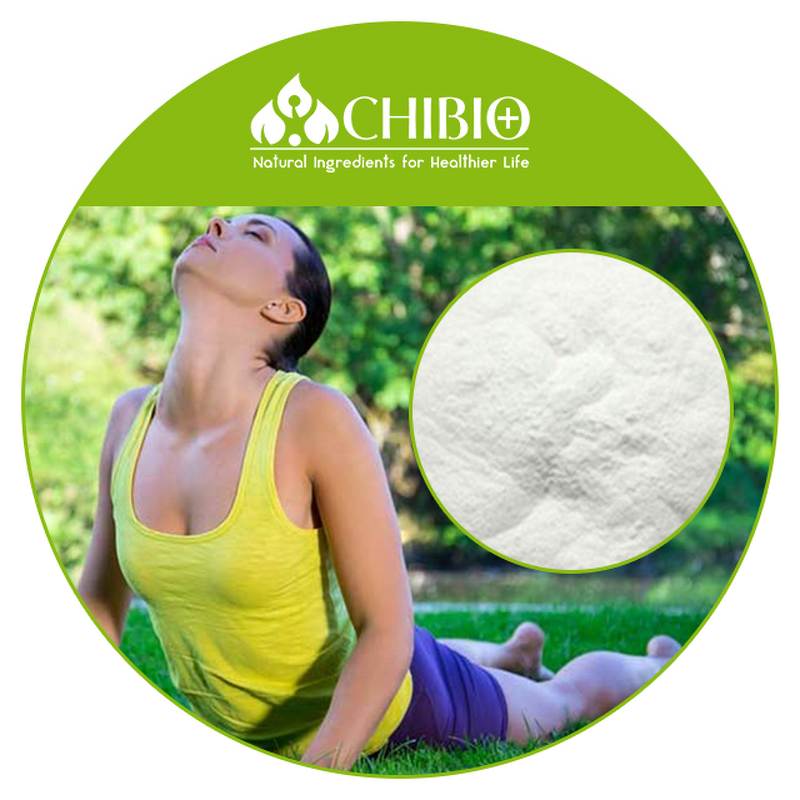 Chondroitin Sulfate - Factory - High Quality for Joint Health Bulk Supply