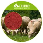 Vitamin B12 Powder - Factory - 100% Pure Methylcobalamin VB12 for Breastfeeding Nutrition