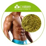 Hemp Seed Extract - Manufacturer - 50% Hemp Protein Wholesale Price Raw Material