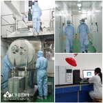 MSM Powder - Manufacturer - 98.0%-102.0% Methylsulfonylmethane Muscle Protection