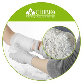 Chitosan Powder - Manufacturer - Hemostatic Dressing Fungal Vegetarian Bulk Supply