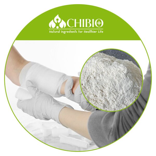 Chitosan Powder - Manufacturer - Hemostatic Dressing Fungal Vegetarian Bulk Supply