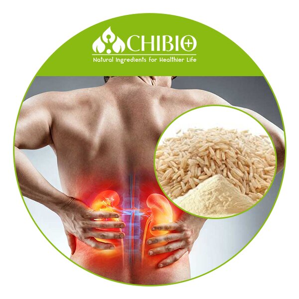 Brown Rice Protein - Manufacturer - 80% Organic for Health Care Body Protecting