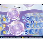 Microcurrent Face Mask - Manufacturer - Fabric for Wrinkle Reduction Skin Firming