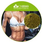 Hemp Protein - Manufacturer - Natural Source Raw Material for Food Supplement
