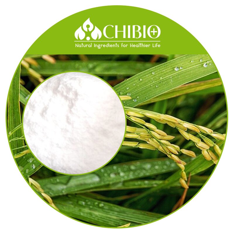 Ferulic Acid Powder - Manufacturer - Top Grade Vegetal Sourced for Skin Health