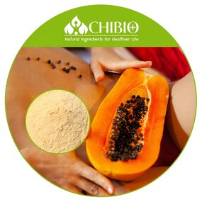 Papain Powder - Manufacturer - ISO Standard 6000 USP U/mg Enzyme for Cosmetic Ingredient