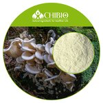 Mushroom Chitosan - Manufacturer - 100% Vegan 200cps for Plant-based Textiles Leather