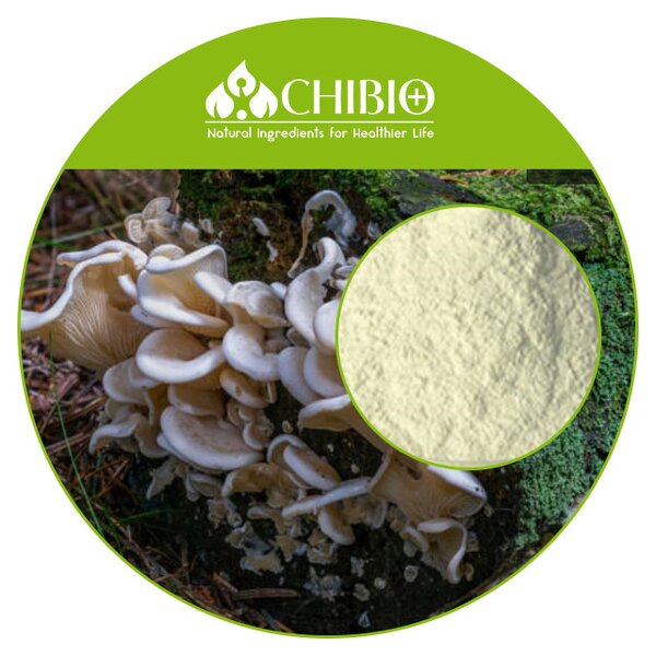 Mushroom Chitosan - Manufacturer - 100% Vegan 200cps for Plant-based Textiles Leather