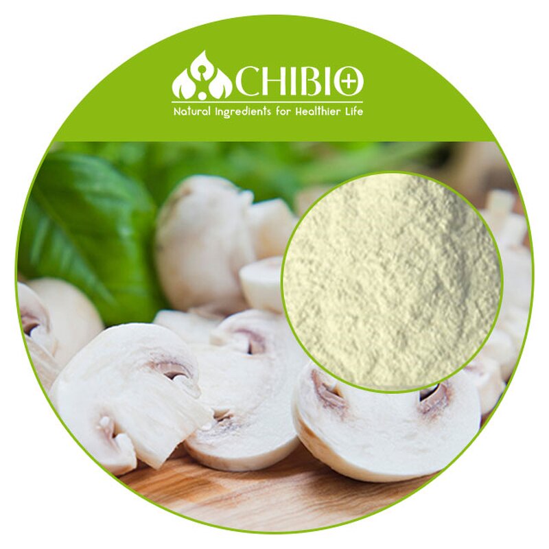 Fungal Chitosan Powder - Factory - Kosher Certified CAS 9012-76-4 Bulk Supply