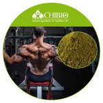 Hemp Protein - Manufacturer - Organic Vegan Protein for Supplement Raw Material