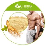 Ginseng Extract Powder - Manufacturer - Natural for Health Protecting Skin Hair Care