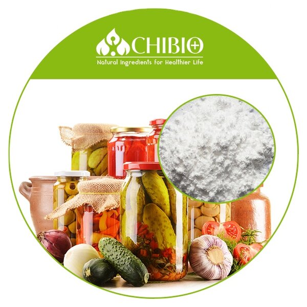 Nisin E234 Powder - Manufacturer - Natural Bacteriocin for Food Beverage Cosmetics