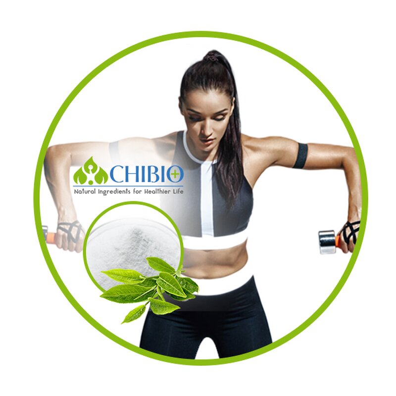 Theacrine Powder - Manufacturer - Pure Kucha Tea Extract for Sports Health Body Strength