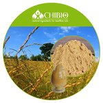 Chitosan Oligosaccharide - Manufacturer - Water Soluble Chitosan Oligo Bulk Powder