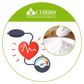 L-arginine Powder - Factory - Bulk Price Raw Material for Building Muscles