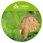 Chitosan Oligosaccharide - Manufacturer - Water Soluble Chitosan Oligo Bulk Powder