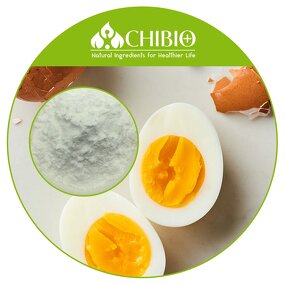 Lysozyme Powder - Manufacturer - Raw Material for Food Preservatives Bulk Supply