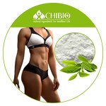 Theacrine Powder - Manufacturer - Kucha Tea Extract Wholesale Bulk for Body Health