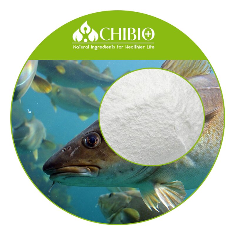 Fish Collagen Peptides - Manufacturer - Tilapia Fish Skin Marine Hydrolyzed Collagen