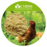 Alginate Oligosaccharide - Factory - Agricultural Grade Enzymatic Hydrolysis Supply Bulk